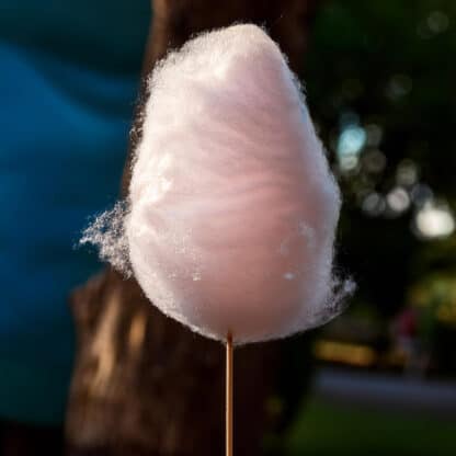 Zuckerwatte-Maschine mit Spuckschutz - Mieten in Wien